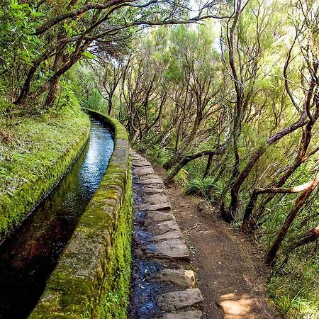 Oasis Suites - Funchal Esterno foto